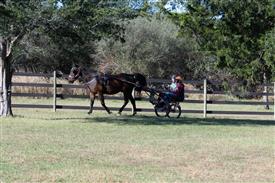 LR-WRF 10182025 Retreat-6362